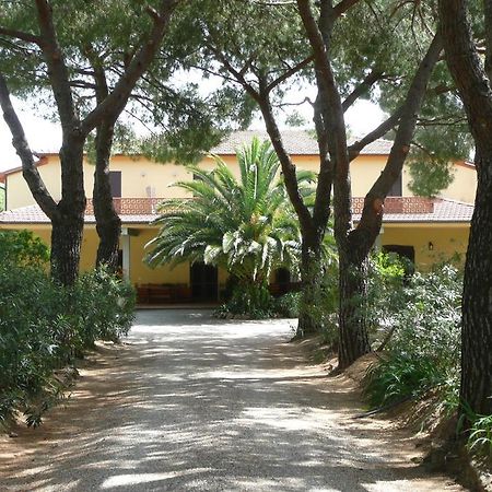 Podere Oslavia Az.Agr.Bio Giannini 알베레세 외부 사진