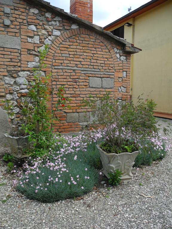 Podere Oslavia Az.Agr.Bio Giannini 알베레세 외부 사진