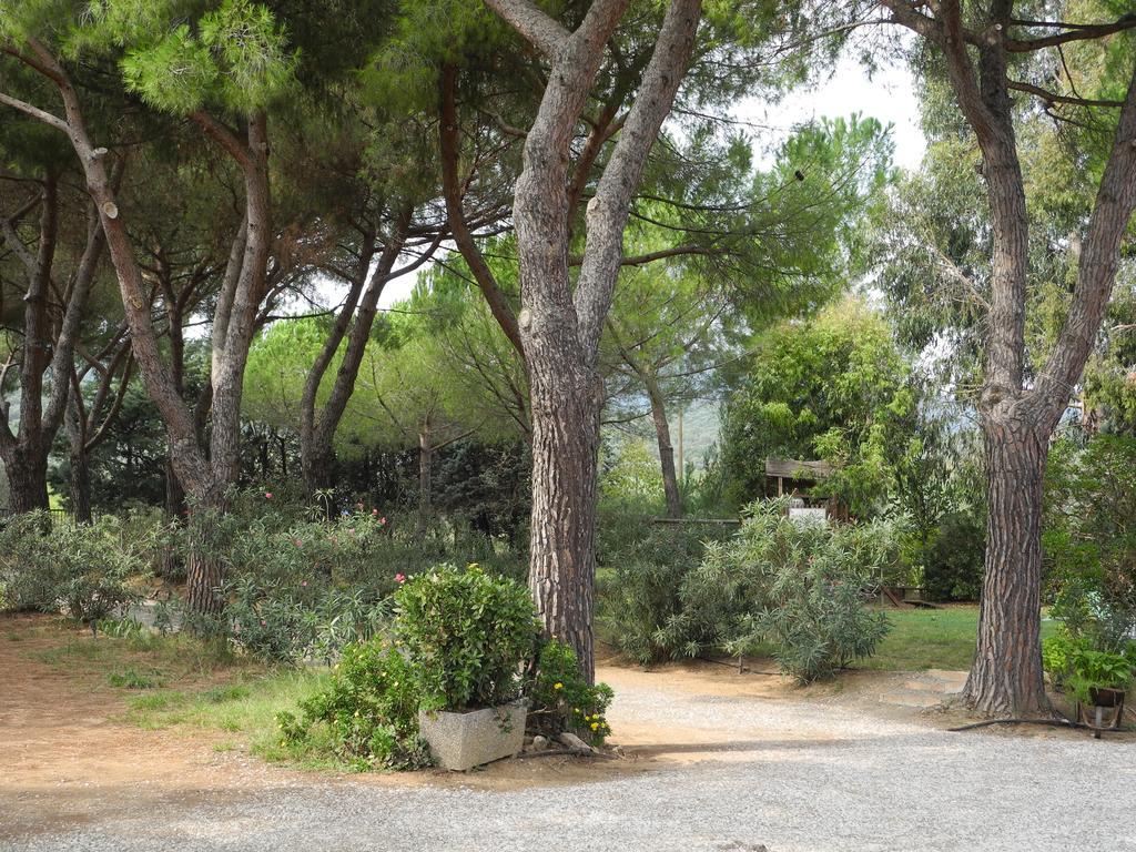 Podere Oslavia Az.Agr.Bio Giannini 알베레세 외부 사진