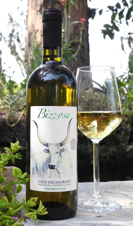 Podere Oslavia Az.Agr.Bio Giannini 알베레세 외부 사진