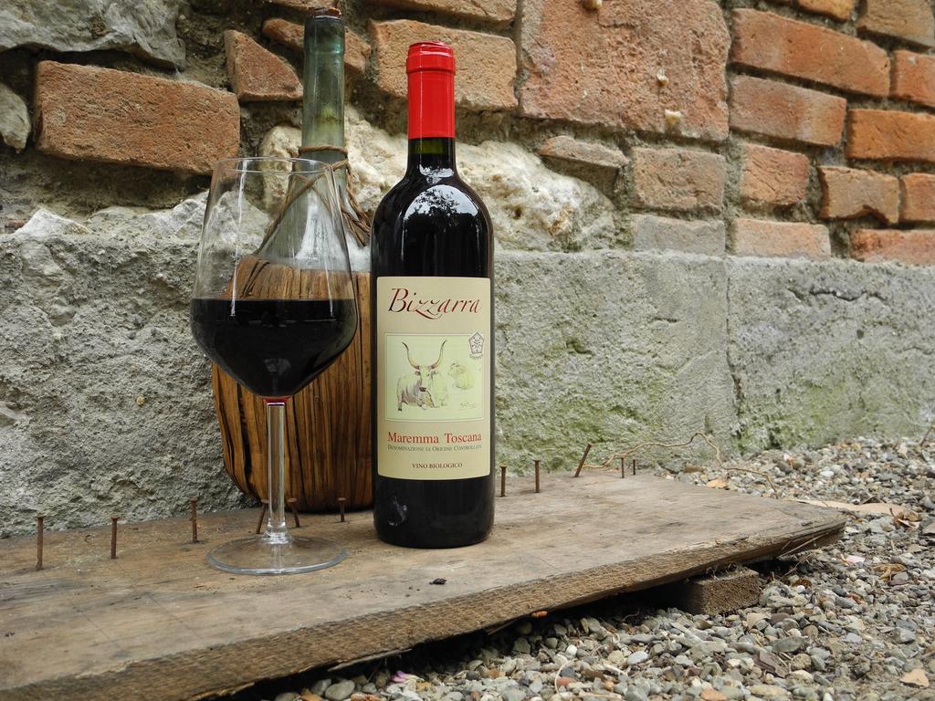 Podere Oslavia Az.Agr.Bio Giannini 알베레세 외부 사진