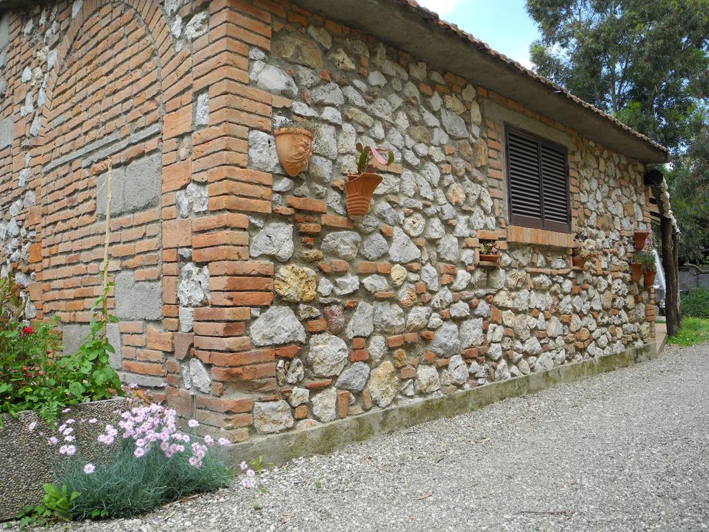 Podere Oslavia Az.Agr.Bio Giannini 알베레세 외부 사진