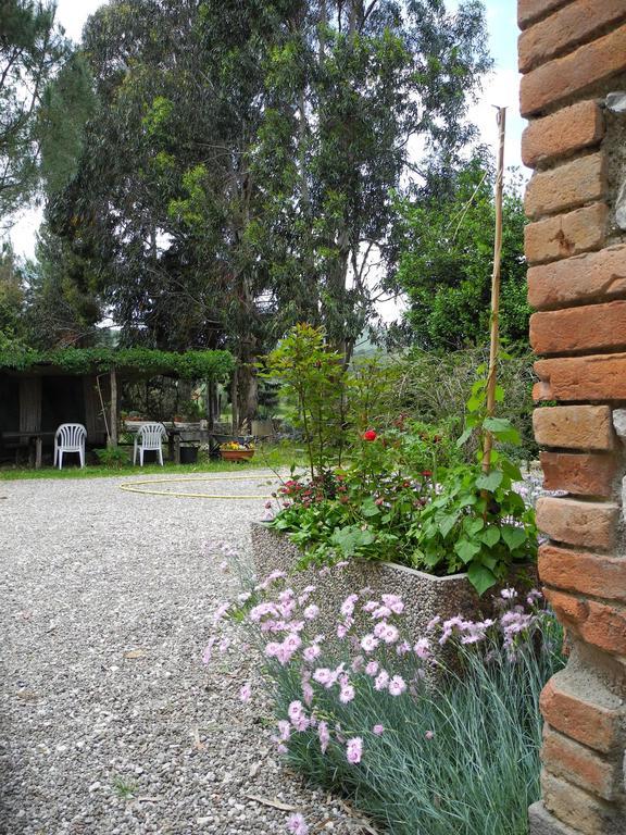 Podere Oslavia Az.Agr.Bio Giannini 알베레세 외부 사진